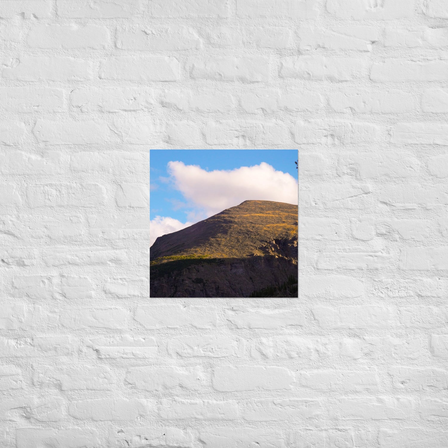Photographic Prints